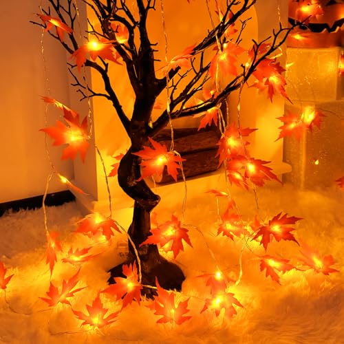 Isisyu Herbst Lichterkette, 3M 20 LED Ahornblatt Lichterkette Batterie mit Timer, Herbst Ahornblatt Girlande Dekoration Lichterkette für Halloween Kürbis Erntedankfest Thanksgiving Party Herbstdeko von Isisyu