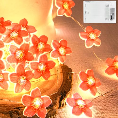 Isisyu Lichterkette Kirschblüten Deko, 2M 20LED Lichterkette Blumen Girlande Batterie mit Timer, Rosa Lichterkette Frühlingsdeko für Innen, Hochzeit, Party, Haus, Garten Dekoration von Isisyu