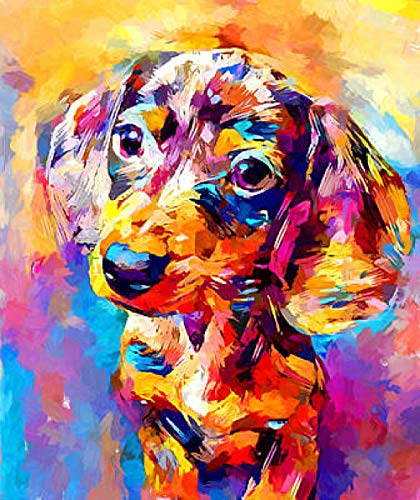 Iujbtb 5D Diamond Painting Set Dackel Tier Hund DIY Diamant Painting Bilder Zubehör für Erwachsene Kinder Anfänger Wand Dekorationen Wohnzimmer Schlafzimmer Büro Bar 40x50cm Kein Rahmen von Iujbtb