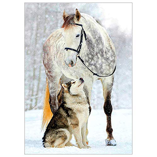 Iwähle 5D Tier Diamond Painting, Pferd und Hund Muster Embroidery Paintings, Stickerei Gemälde, Diamant-Malerei, Strass geklebt DIY Kreuzstich, Upgrade und Augenschutz, Dekoration, Geschenk von Iwähle