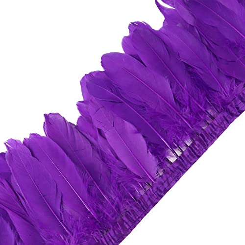 Federband 2M Federn Fringe Trim Gänsefeder Streifen Trim Federn Borte, Fringe Party Fancy Dress, Plüsch Feder für Mode Kleid Nähen Handwerk Weihnachten Kostüme Dekoration von JAWSEU