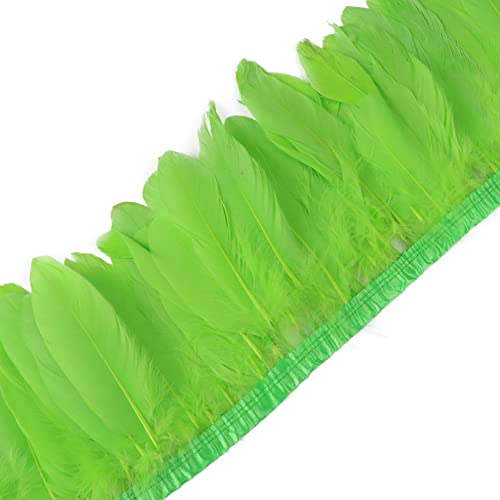 Federband 2M Federn Fringe Trim Gänsefeder Streifen Trim Federn Borte, Fringe Party Fancy Dress, Plüsch Feder für Mode Kleid Nähen Handwerk Weihnachten Kostüme Dekoration von JAWSEU