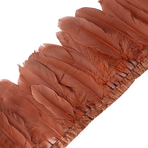 JAWSEU Federband 2M Federn Fringe Trim Gänsefeder Streifen Trim Federn Borte, Fringe Party Fancy Dress, Plüsch Feder für Mode Kleid Nähen Handwerk Weihnachten Kostüme Dekoration von JAWSEU