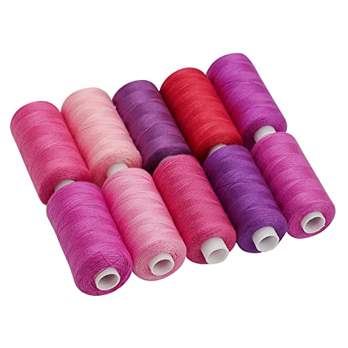 JAWSEU Nähgarn Set, Nähmaschinengarn von Polyester Multi Farben zum Quilten Stitching Hand Sewing 10 Packs, 250 m 10 Farben von JAWSEU