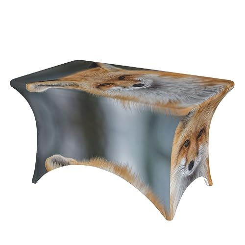 JAYWIS Tischdecke mit Fuchsmotiv, elastische Kanten, rechteckige Tischdecke, für Außenbereich, Terrasse, Küche und Esszimmer von JAYWIS