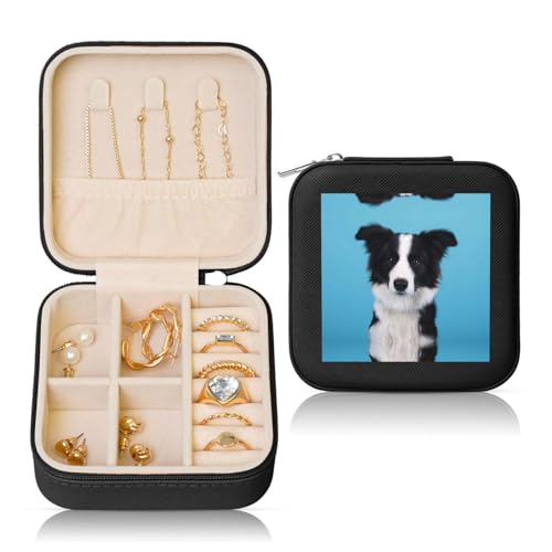 JEJEA Leder-Schmuckschatulle mit Border Collie-Druck, für Damen, Schmuck-Organizer, Schmuck-Aufbewahrungsbox, Geschenk für Frauen von JEJEA