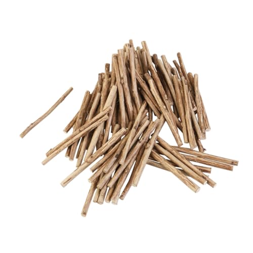 JEWEDECO 100St DIY Holzstäbchen selbstgemachte Stöcke Buchsbaumstöcke dekorative Birkenstangen papphefter tapetenschere bescherung zünslerfrei buchsbaum Log-Sticks Teebaumstöcke Hölzern von JEWEDECO