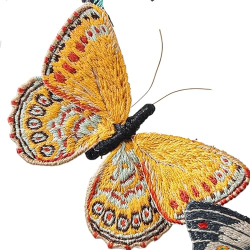 JHSDHYD Bügel Patches Anfänger Schmetterling Stickerei Kits mit Reifen DIY Hand Brosche Stickerei Kit Nähen Handgemachte Handarbeiten Kreuzstich Set Dekor(Embroidery Kit-G) von JHSDHYD