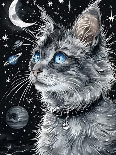 5D Diamond Painting Set 30x40 cm Diamond Painting Kits Cool, Katze Vollbohrer Diamant Malerei Bilder Arts, DIY Crystal Strass Stickerei Painting Diamant Malerei Kit als Geschenk für Home Décor Z-9 von JIAGUANG