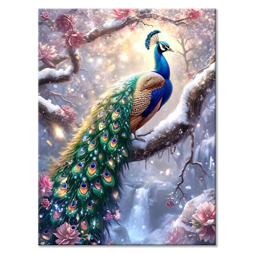 Malen Nach Zahlen Erwachsene Pfau Malen Nach Zahlen Vogel Malen-Nach-Zahlen ab 7 8 9 10 Jahre Mädchen Jungen Geschenke, Paint by Numbers Kinder Anfänger Leinwand Malen Wall Decoration 20 x 25 cm H-8 von JIANFREY