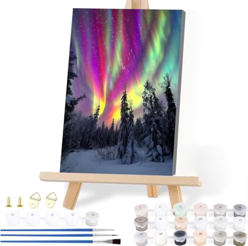 Malen Nach Zahlen ab 7 8 9 10 Jahre Mädchen Jungen 40 x 50 cm, Paint by Numbers Aurora Malen Nach Zahlen Erwachsene Landschaft Malen-Nach-Zahlen Kinder DIY ölgemälde mit 3 Pinseln und Acrylfarbe F-4 von JIANFREY