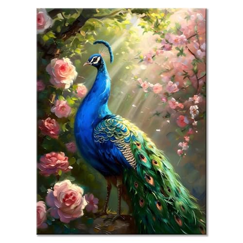 Malen Nach Zahlen ab 7 8 9 10 Jahre Mädchen Jungen 40 x 50 cm, Paint by Numbers Pfau Malen Nach Zahlen Erwachsene Landschaft Malen-Nach-Zahlen Kinder DIY ölgemälde mit 3 Pinseln und Acrylfarbe U-3 von JIANFREY