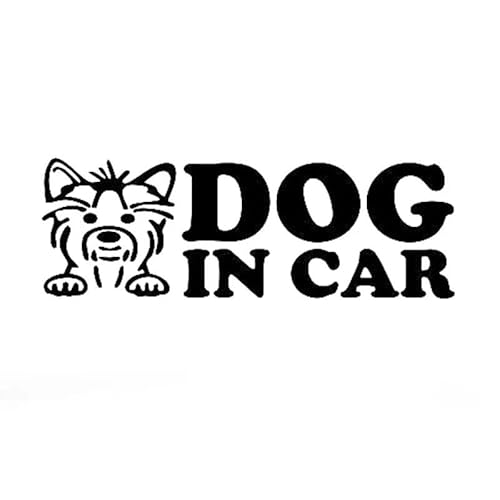 JIFENLI Autoaufkleber 13,3 cm * 4,7 cm Hund im Auto Aufkleber Vinyl Aufkleber Haustier an Bord Auto Warnung LKW Auto Aufkleber Schwarz/Splitter von JIFENLI