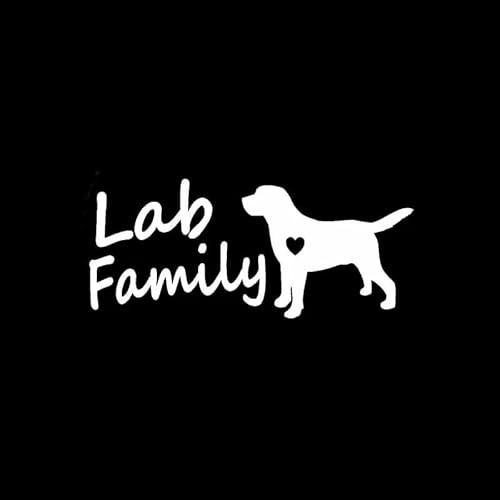 JIFENLI Autoaufkleber 13,8 cm * 6 cm Labor Familie Labrador Mutter Hund Vinyl Aufkleber Auto Aufkleber Labradoodle Geschenk Schwarz/Silber von JIFENLI