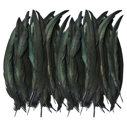 JIHUOO 60 Stück 30,5 - 35,6 cm schwarze Hahnschwanzfedern, natürliches Handwerk, Hahnfedern, Halloween-Kostümfedern, Traumfänger-Federn, lange Federn für Hutdekoration, Federn JIHUOO 60 Stück 30,5 - 35,6 cm schwarze Hahnschwanzfedern, natürliches Handwerk, Hahnfedern, Halloween-Kostümfedern, Traumfänger-Federn, lange Federn für Hutdekoration, Federn von JIHUOO