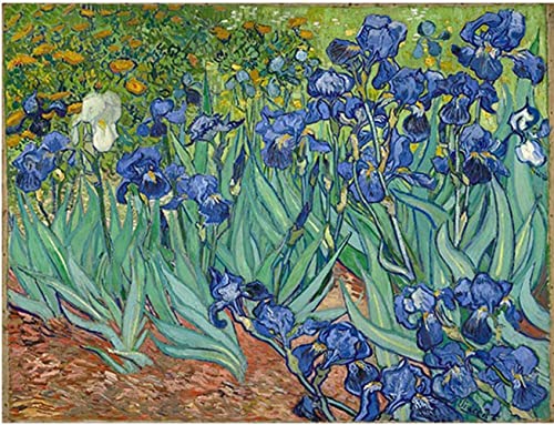 Diamond Painting Kits Iris Flowers by Van Gogh Full Drill DIY Handwerk für Erwachsene Home Wanddekoration 40 x 50 cm von JINYANZZYJ