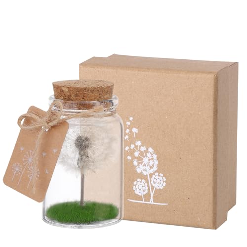 JIZZU Wunscherfüller, Echte Pusteblume Im Glas Mit Geschenkbox, Glücksbringer Weihnachtsgeschenke Geschenke für Frauen & Freundin, Wunschgutschein Schutzengel Handgefertigt, Blumen Geschenk von JIZZU