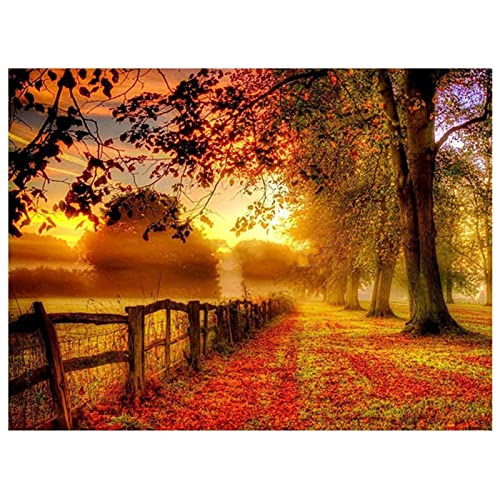 5D Diamond Painting Full Set Herbst-Sonnenuntergang-Wald 40x60cm DIY Malen nach Zahlen Diamant Malerei Kit DIY Kreuzstich Diamant Gemälde Stickerei Diamant Painting Bilder Kunst Handwerk Dekoration von JMUNG