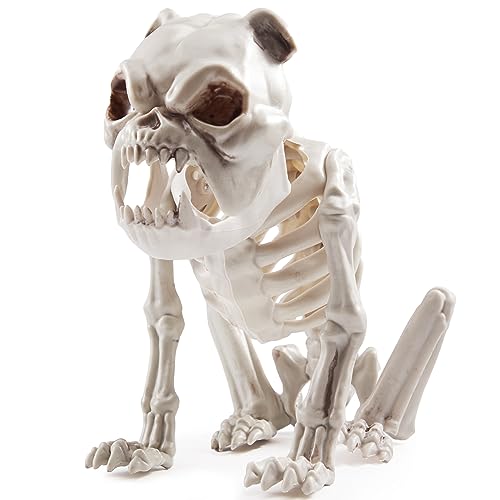 JOYIN 24,1 cm Halloween Skelett Hundeskelett für Halloween Dekoration Hundeknochen aus Kunststoff mit Gelenken für Requisiten, gruselige Szenen von JOYIN