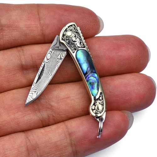 JPCRMOV Damast Klappmesser Super Leicht Mini Messer nur 9g, Kleines Taschenmesser Damaststahl Klinge, Tragbar Outdoor Survival Messer Schlüsselanhänger Kompakt EDC Knife (Bunte Abalone-Schale) von JPCRMOV