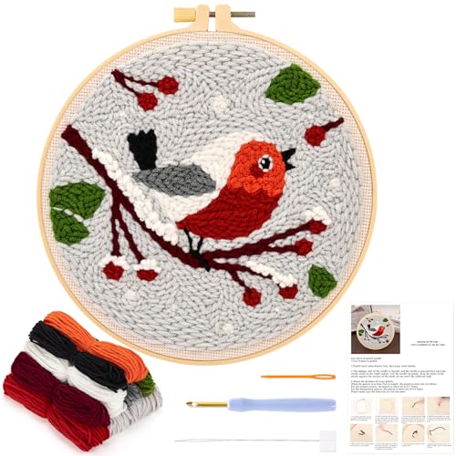 JSRQT Punch Needle Stickerei Set Anfänger, Stanznadel Stickerei Set mit Vogelmuster für Erwachsene Kinder, Handgefertigtes Kreuzstich Stickset, Punch Needle Embroidery Kit mit Punch Needle Werkzeug von JSRQT