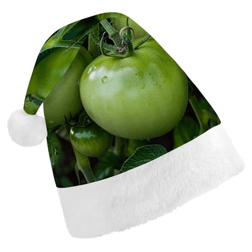 JTKLQBN Weihnachtsmütze für Erwachsene, niedliche grüne Tomaten, Bild bedruckt, Weihnachtsmannmütze für Erwachsene, Weihnachtsmützen für Damen und Herren, Unisex, Neujahrsgeschenke von JTKLQBN