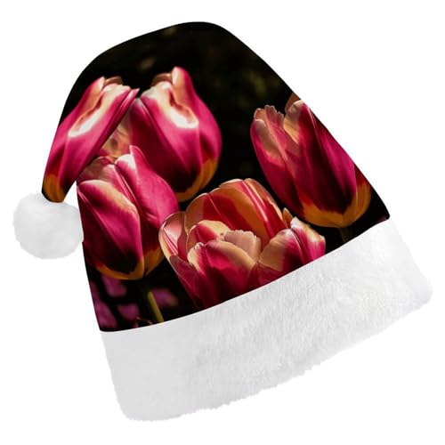 JTKLQBN Weihnachtsmütze für Erwachsene, niedliche schöne Blumen bedruckte Weihnachtsmannmütze für Erwachsene Weihnachtsmützen für Damen und Herren, Unisex, Neujahrsgeschenke von JTKLQBN