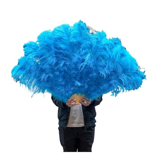 JTKSSCS Feder Tanzfächer 13 Knochen Straußenfedern Fan Karneval Party Hochzeit Feier Bauchtanz Show DIY Dekoration Mint Grün Plumes Fan(Lake Blue,1PC) von JTKSSCS