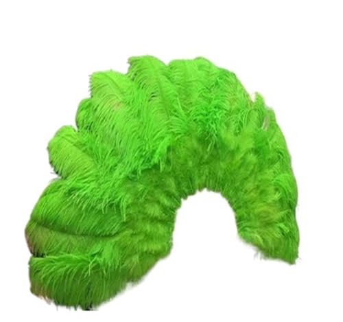 JTKSSCS Feder Tanzfächer Großer Fächer Aus Roten Straußenfedern Mit Bambusstäben for Bauchtanz, Halloween-Party, Dekoration, Notwendig, 13 Knochen(Green) von JTKSSCS