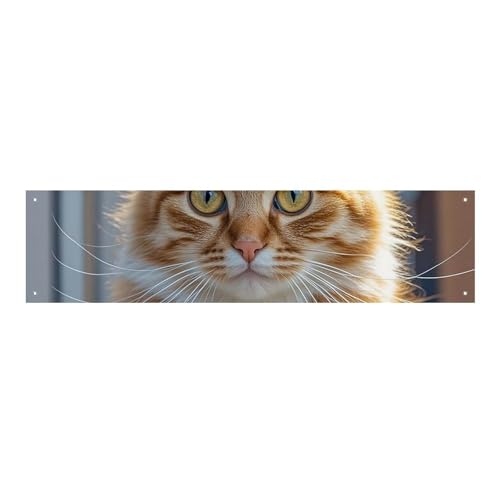 Großes Banner, personalisierbares Banner, orangefarbene Katzen, Partyschilder, 300D-Polyester, für drinnen und draußen, blanko, Banner mit vier runden Metalllöchern, Banner für Party-Dekoration von JTMVNKG