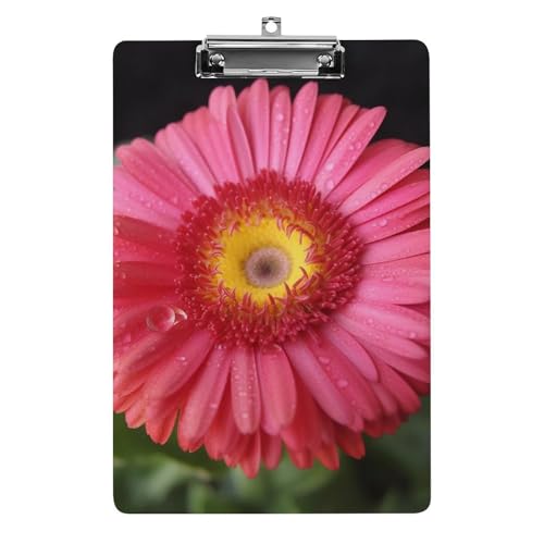 Acryl-Klemmbrett 32,5 x 21,6 cm, Blumen-Gerbera-Druck, A4-Klemmbrett in Briefgröße, Kunststoff-Klemmbrett mit niedrigem Profil-Clip für Krankenschwestern, Lehrer, Büro- und Schulbedarf von JTREHY