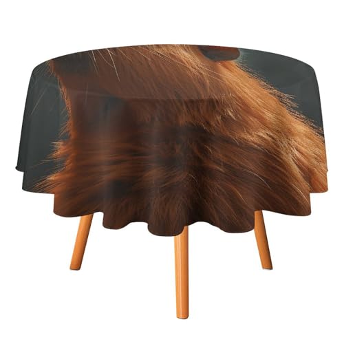 JTREHY Capybara Runde Tischdecke, 152,4 cm, mit geschlossenen Augen, bedrucktes Polyester, waschbar, Tischdecken für den Außenbereich, für Esszimmer, Küche, Hochzeit, Partys usw von JTREHY