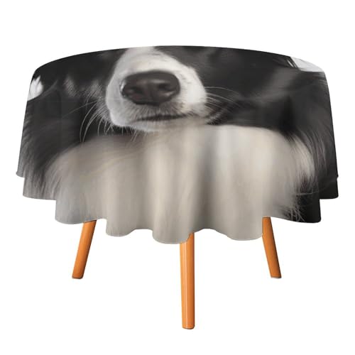 JTREHY Runde Tischdecke, Border Collie, bedruckt, Polyester, waschbar, für den Außenbereich, für Esszimmer, Küche, Hochzeit, Partys usw von JTREHY