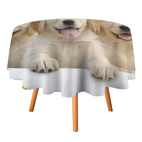 JTREHY Runde Tischdecke, Golden Retriever-Welpen, bedruckt, Polyester, waschbar, Tischdecken für den Außenbereich, für Esszimmer, Küche, Hochzeit, Partys usw von JTREHY