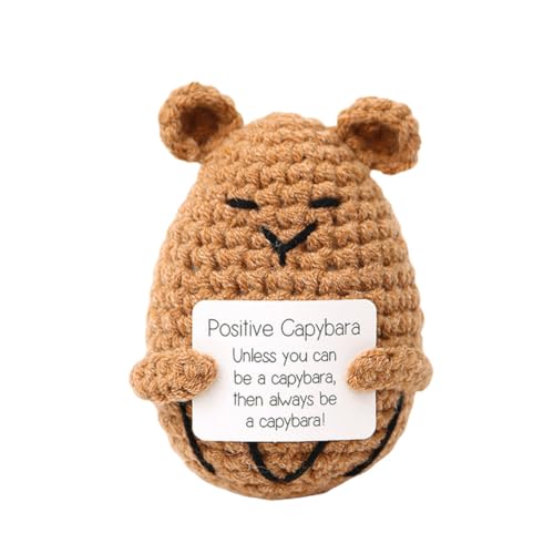 JUCHRZEY emotionale Unterstützung, lustiges Stressabbau-Spielzeug mit positiver Affirmationskarte, kreative Strickpuppen, gestrickte Puppen, Geschenke for Frauen und Männer von JUCHRZEY