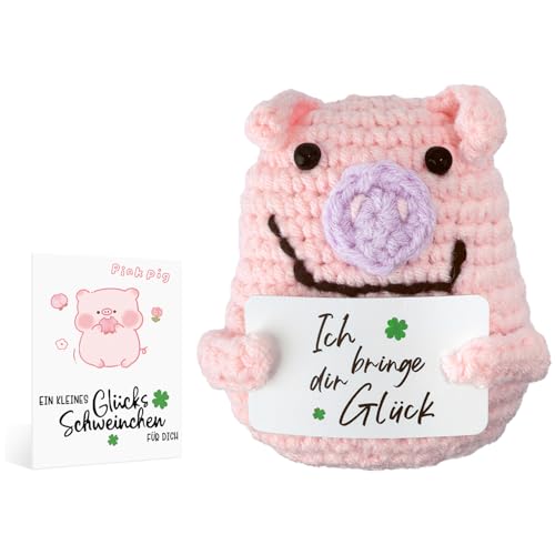 JVBAJV Positive Geschenke Glücksschweinchen, Glücksbringer Prüfung Glücksschweinchen Klein, Pocket Hug Glücksschweinchen Mit Energiekarte, Gute Besserung Geschenke für Frauen and Männer von JVBAJV