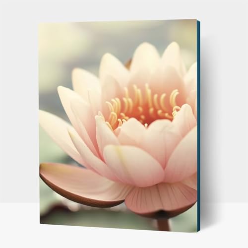 5D Diamond Painting Erwachsene, Diamant Malen Nach Zahlen Blume mit Diamond Painting Zubehör Set Pflanzen, Vollbohrer leinwand Malen, Diamant Cross Stitch Bastelset Erwachsene 35x50cm JXL1-23193 5D Diamond Painting Erwachsene, Diamant Malen Nach Zahlen Blume mit Diamond Painting Zubehör Set Pflanzen, Vollbohrer leinwand Malen, Diamant Cross Stitch Bastelset Erwachsene 35x50cm JXL1-23193 von JXLEULIN