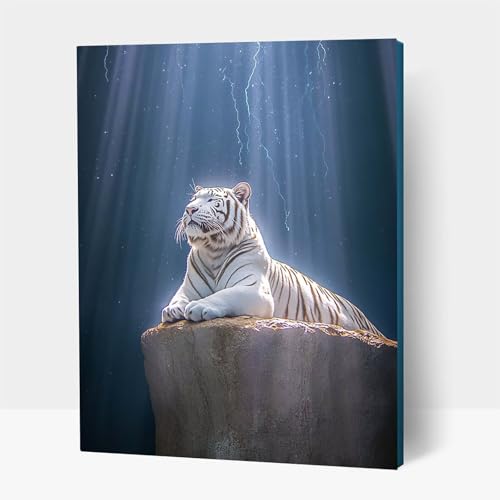 5D Diamond Painting Erwachsene, Diamant Malen Nach Zahlen Tiger mit Diamond Painting Zubehör Set Tier, Vollbohrer leinwand Malen, Diamant Cross Stitch Bastelset Erwachsene 100x135 cm JXL1-17790 5D Diamond Painting Erwachsene, Diamant Malen Nach Zahlen Tiger mit Diamond Painting Zubehör Set Tier, Vollbohrer leinwand Malen, Diamant Cross Stitch Bastelset Erwachsene 100x135 cm JXL1-17790 von JXLEULIN