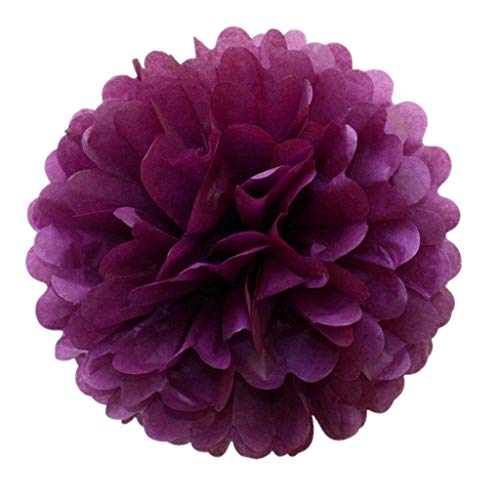 JZK 10 x Pflaume Lila Pompoms Pompons, 25cm Durchmesser, Seidenpapier blume Dekoration für Wohnzimmer Hochzeit Geburtstag Babyparty Kinder Party Weihnachten Silvester von JZK