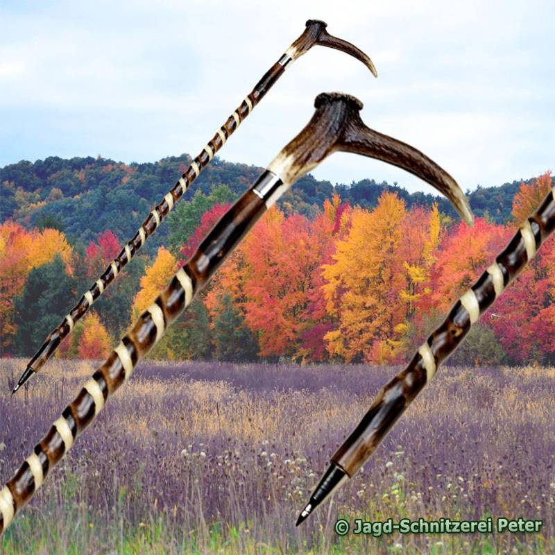 Wanderstock Holz Kastanie Doppelspirale, Augspross Als Hirschhorngriff -Gravur Bis 5 Zeichen Im Preis Enthalten von JagdSchnitzereiPeter