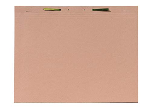 Jalema 2602025000 Einstellmappe mit Heftung Folio chamois, 100er Packung von Djois