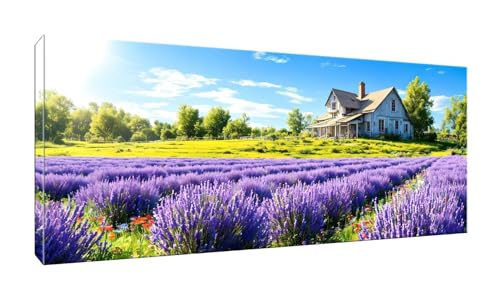 5D DIY Diamond Painting Kits Vollbohrer Groß 20x50cm, Lavendelfeld Diamant Painting Kunst Bild Kit, Leinwand Kreuzstich Stickerei Nach Zahlen Painting Zubehör für Erwachsene/Wand/Wohnkultur G-912 von Jalican