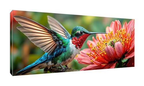 Jalican 5D DIY Diamond Painting Kits Vollbohrer Groß 50x125cm, Kolibri Diamant Painting Kunst Bild Kit, Leinwand Kreuzstich Stickerei Nach Zahlen Painting Zubehör für Erwachsene/Wand/Wohnkultur G-206 von Jalican