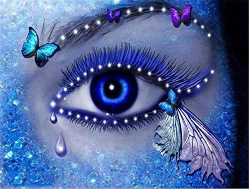 Diamond Painting Kits DIY 5D Diamant Malerei Painting Full Drill Art Adult Child Crystal Rhinestone Cross Stitch Canvas Craft for Home Wall Decor Gift Schmetterling blaue AugenRound Drill,40x50cm von Janktie