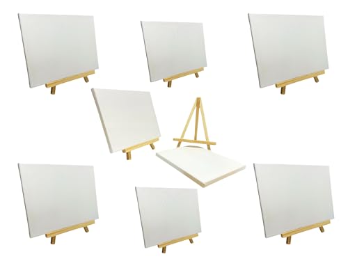 48 Stück 20 x 25 cm Leinwand-Staffelei-Set von Janrax