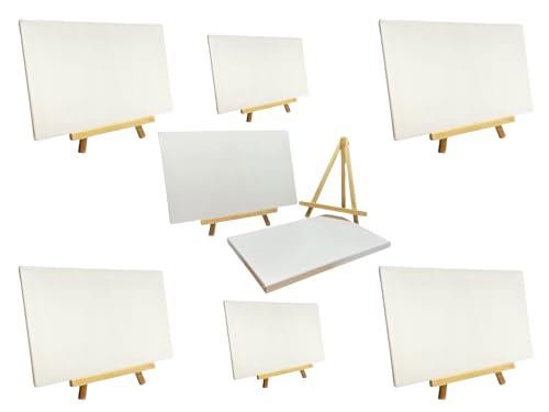 48 Stück 20 x 30 cm Leinwand-Staffelei-Set von Janrax