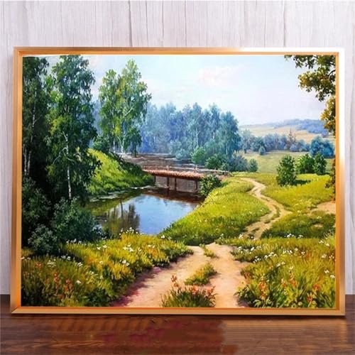 FrüHlings Landschaft DIY 5D Diamond Painting,Diamant Malerei für Haus Dekoration,Wohnzimmer Schlafzimmer Büro Eingang Dekoratio,Diamond Painting Set für Erwachsene und Kinder-Round Drill,20x50cm von Januave