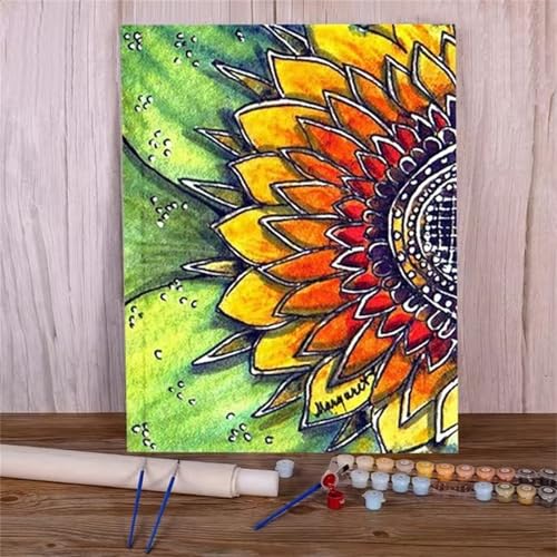 Januave Malen Nach Zahlen,Abstrakte Sonnenblume Paint by Numbers,DIY Framed DIY Handgemalt Ölgemälde Kit für Anfänger und Erwachsene Geschenke und Home Haus Deko 30x40cm von Januave