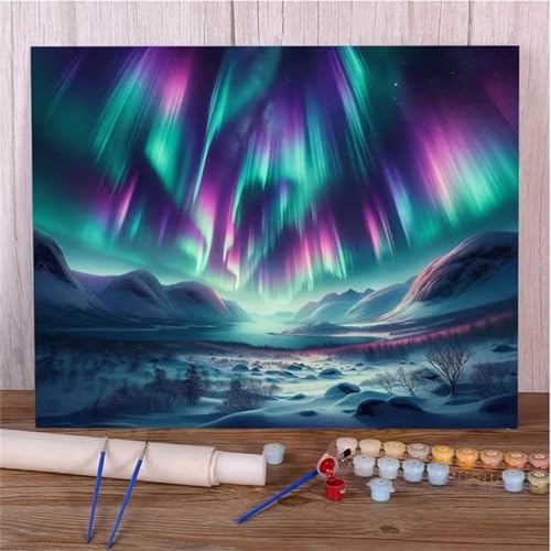 Januave Malen Nach Zahlen,Aurora Borealis-Landschaft Paint by Numbers,DIY Framed DIY Handgemalt Ölgemälde Kit für Anfänger und Erwachsene Geschenke und Home Haus Deko 55x70cm von Januave