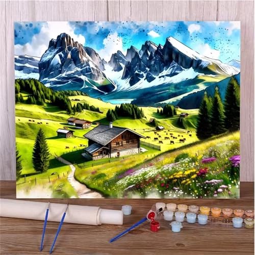 Januave Malen Nach Zahlen,Bergwiese Paint by Numbers,Without Framed DIY Handgemalt Ölgemälde Kit für Anfänger und Erwachsene Geschenke und Home Haus Deko 30x40cm von Januave